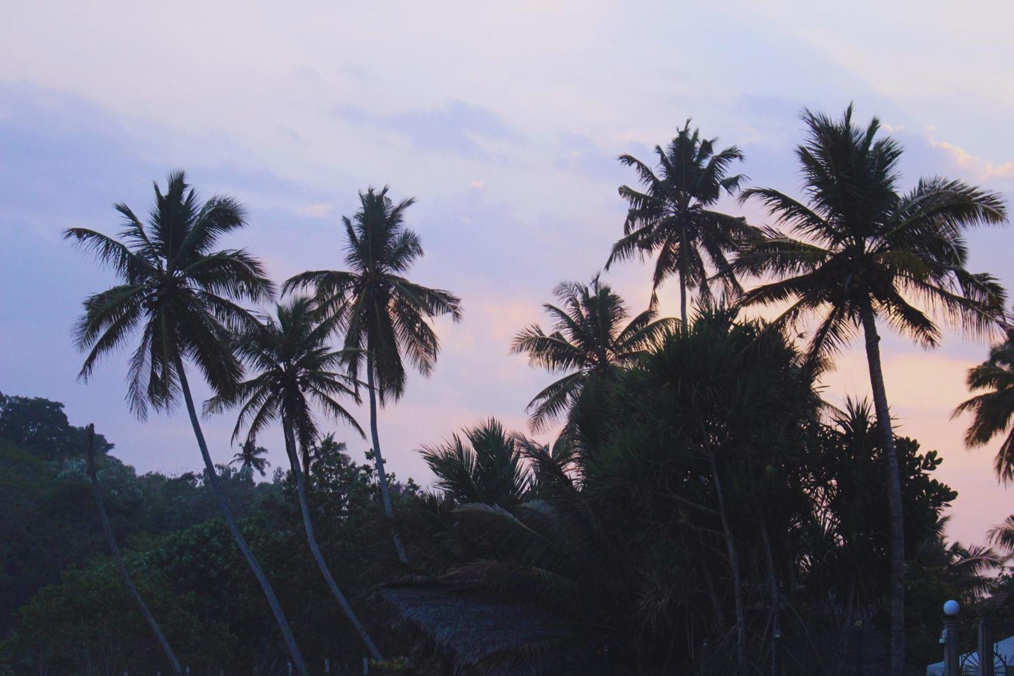 Calma - Surf, Yoga & Coffee On A Private Beach Dikwella Sur Exterior foto