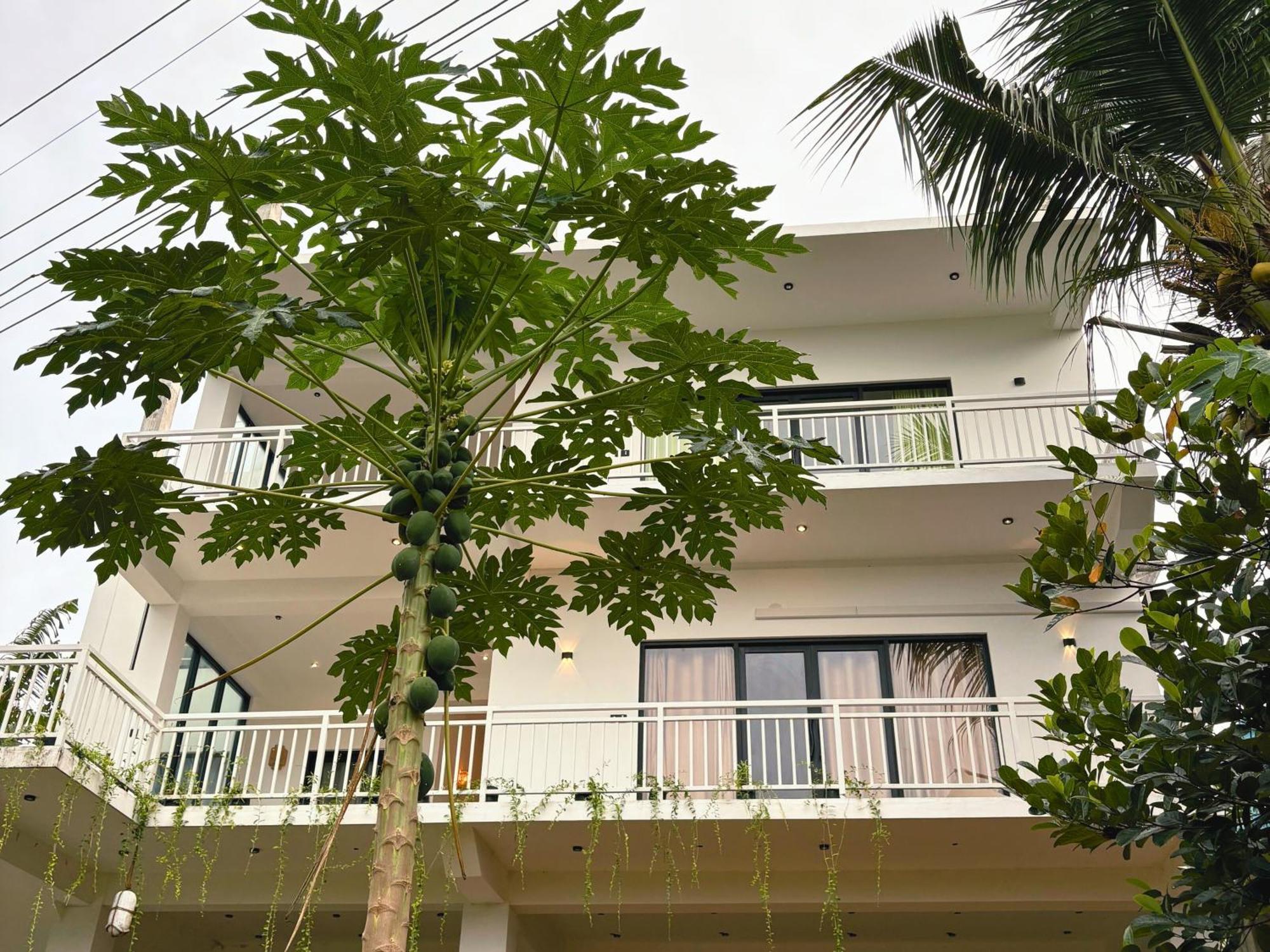 Calma - Surf, Yoga & Coffee On A Private Beach Dikwella Sur Exterior foto